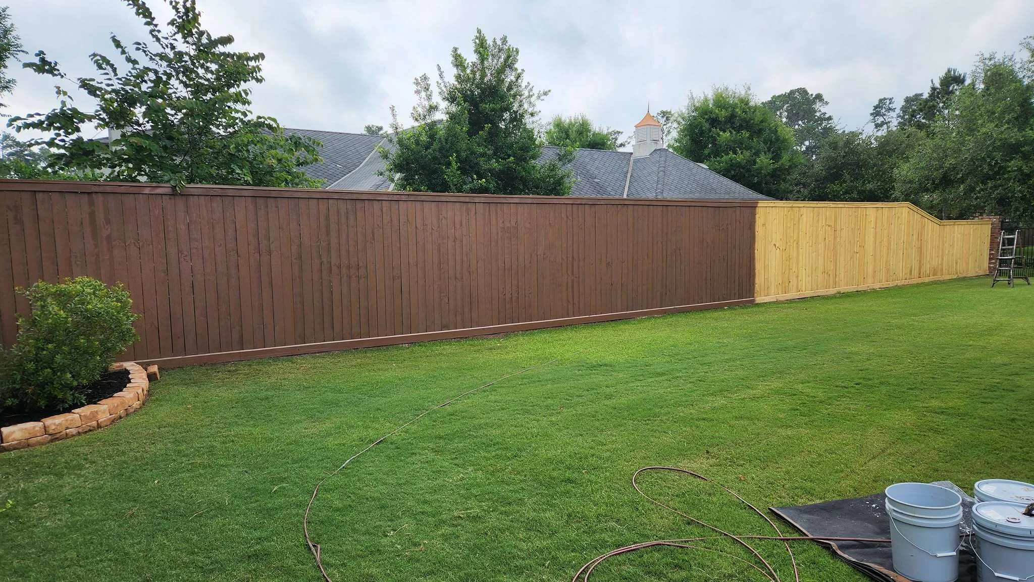 Fence staining project showing untreated and freshly stained wood sections