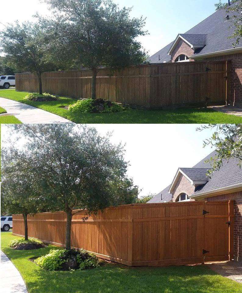 Before and after comparison of a residential privacy fence restored with stain